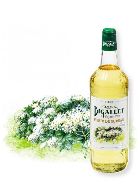 Sirop Bigallet Fleur De Sureau 1 L